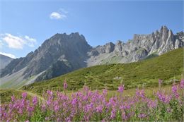 Vue générale sur les Prés