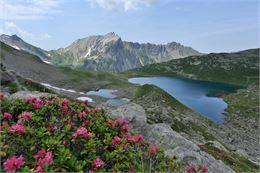 Le tour des lacs Jovet