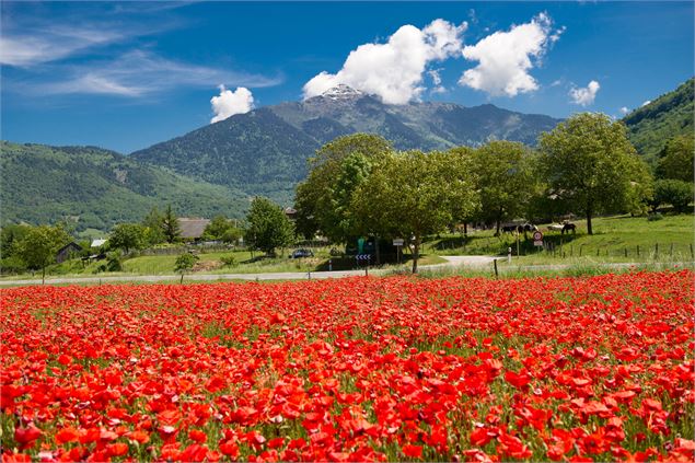 ValGelon - © Savoie Mont Blanc - Lansard