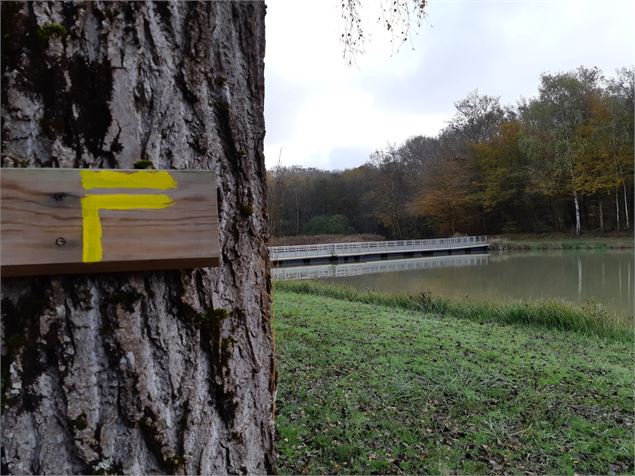 Etang de Fougemagne - S CALLAND