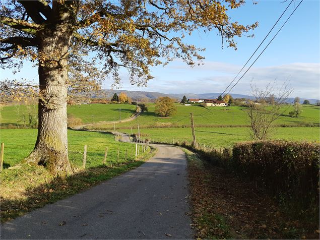 Balade autour de Pirajoux - scalland