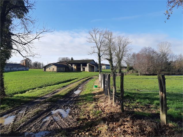 Sur les chemins de St Didier d'Aussiat - scalland