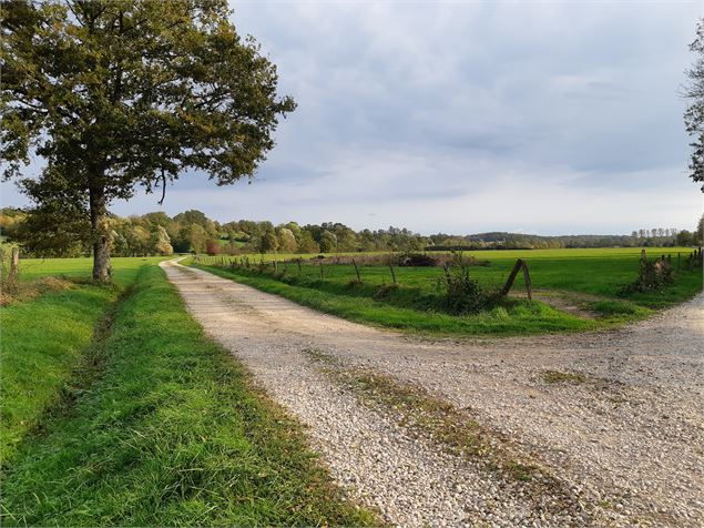 Marboz - Plaine de Grosbost - scalland