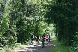 promenade en VTT - Wendy Coulon