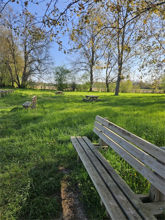 Aire de pique-nique_Saint-Didier-sur-Chalaronne