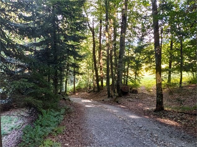 Sentier VTT : boucle du Bois de Fessy_Sallanches - Véronique Lorenzi