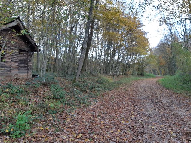 entre Beaupont et Domsure - scalland