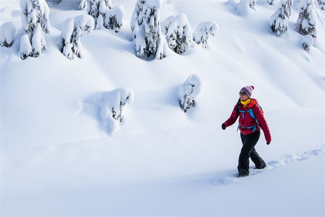 itinéraire de randonnée raquette à neige Valloire - La Séa - greg-rosenke--Itm3HSv8mI-unsplash