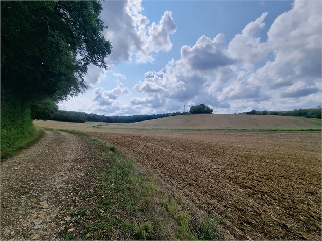 Villemotier - Poype de la Griffonnière - scalland