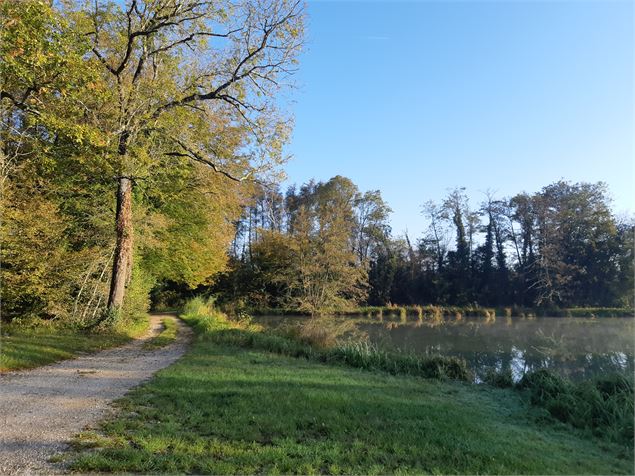 Plan d'eau de Champataule - scalland