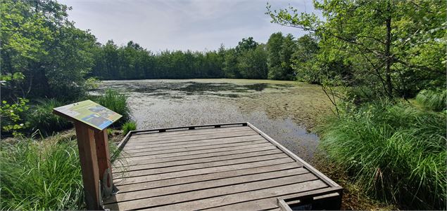 Bresse Vallons - Cras et l'étang Bizadan - scalland