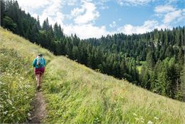 Traversée d'un champs à mi-parcours - Yvan Tisseyre / OT Vallée d'Aulps