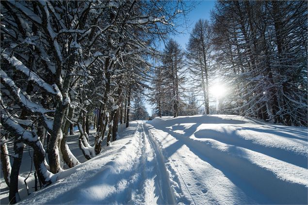 Itinéraire de raquettes en forêt à Valloire - Alban Pernet / Valloire Tourisme