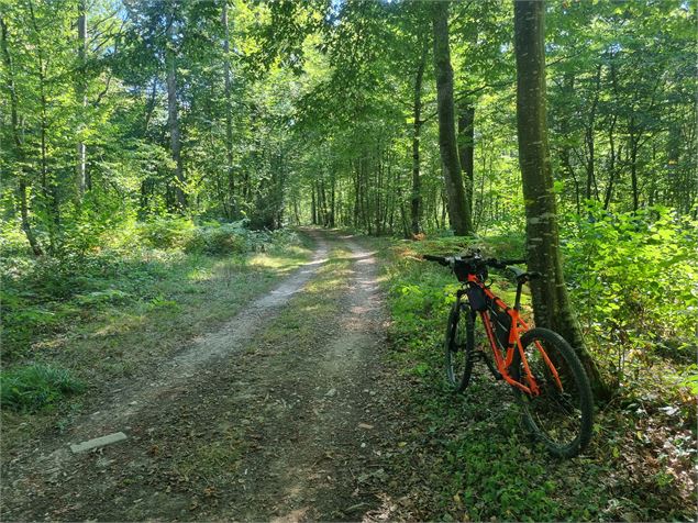 VTT-VTC en Bresse - scalland