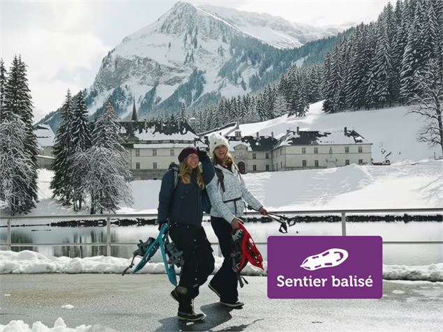 Carmel - Elevation Films