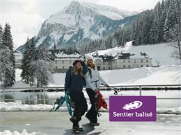 Carmel - Elevation Films