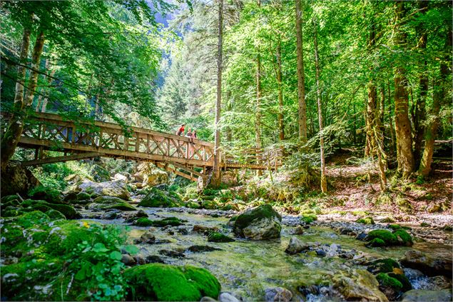 Passerelle du Cirque de St Même - Les Conteurs - Chartreuse Tourisme