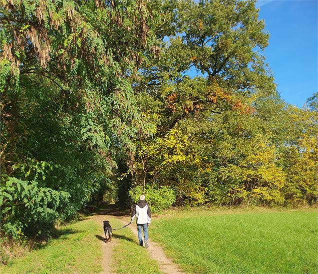 Sentier de randonnée - Karin Dirx