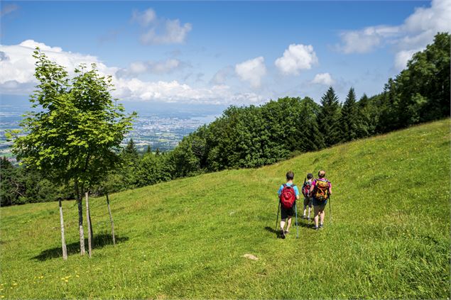 Paysage Salève - SavoieMontBlanc-Martelet