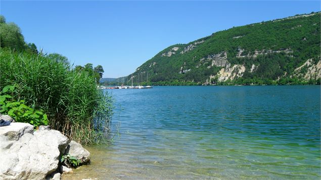 Parcours VTT 65 bleu - Plaine de Saint Martin - Espace FFC Ain Forestière - OT Nantua