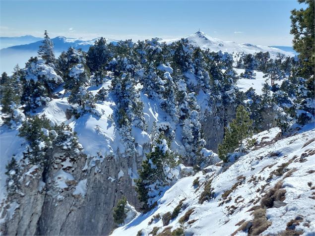 Les canyons du Crêt de la Neige - AMBarbe