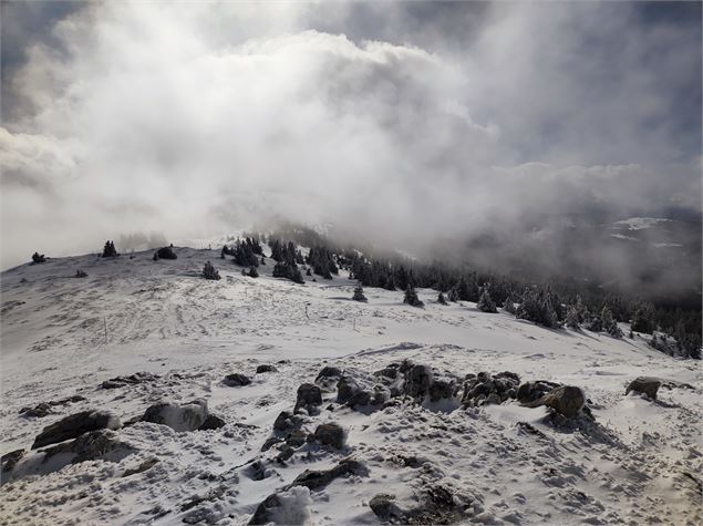 Sentier raquettes : de la Catheline au Crêt de la Neige_Lélex - ©Anne-Marie Barbe