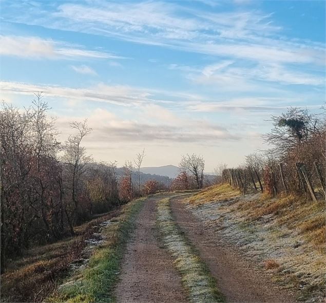 Plateau de Vergongeat - scalland