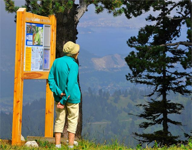 vue des massifs Aravis et Bauges - La Sambuy Faverges-Seythenex