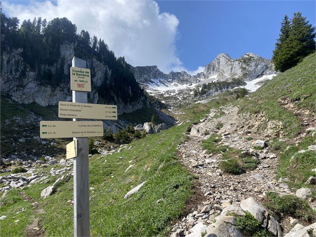 Randonnée pédestre : La Petite Sambuy via la piste forestière_Faverges-Seythenex - NFOTSLA
