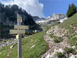 Randonnée pédestre : La Petite Sambuy via la piste forestière_Faverges-Seythenex - NFOTSLA