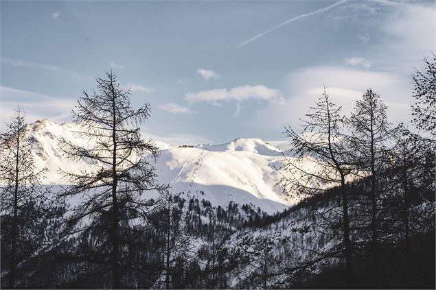 brinzei foret - Val d'Isère Téléphériques / Maxime Bouclier