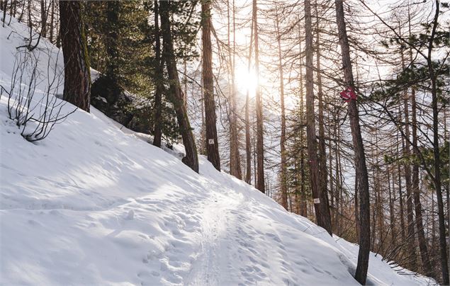 Ecureuil - Val d'Isère Téléphériques / Maxime Bouclier