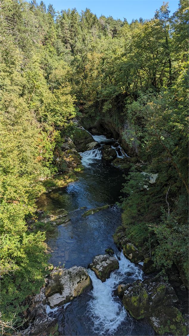 Parcours VTT 72 Rouge - Des Gorges de l'Oignin aux Gorges de l'Ain - Espace FFC Ain Forestière - Jea