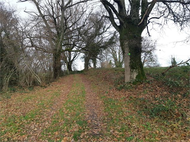 Chemin de Bresse - scalland