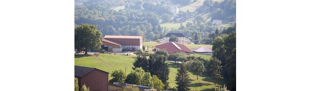 La Ferme des Oursons - La Ferme des Oursons