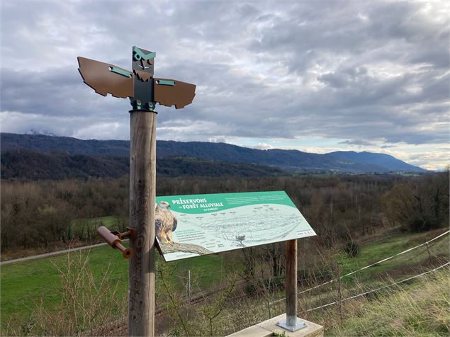 Sentier des libellules