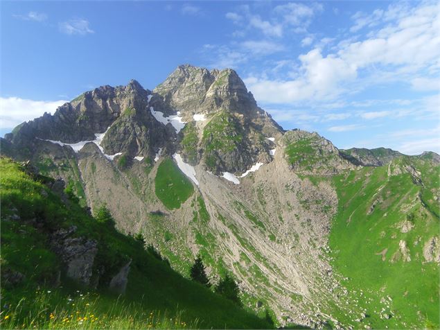 vue sur le sommet du Mont-de-Grange - 2CVA