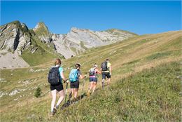 La montée entre le col de la Basse et le col Ratti - Yvan Tisseyre / OT Vallée d'Aulps