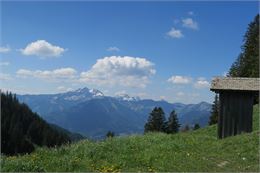 Chalet du col de Plan Champ - Victor Demilly / Vallée d'Aulps Tourisme