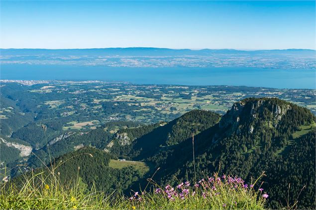 Vue sur le Lac Léman depuis le sommet - Yvan Tisseyre / OT Vallée d'Aulps