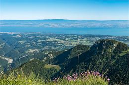 Vue sur le Lac Léman depuis le sommet - Yvan Tisseyre / OT Vallée d'Aulps