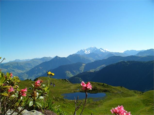 Vue sur le lac Brassa et le Mont Blanc - caramello