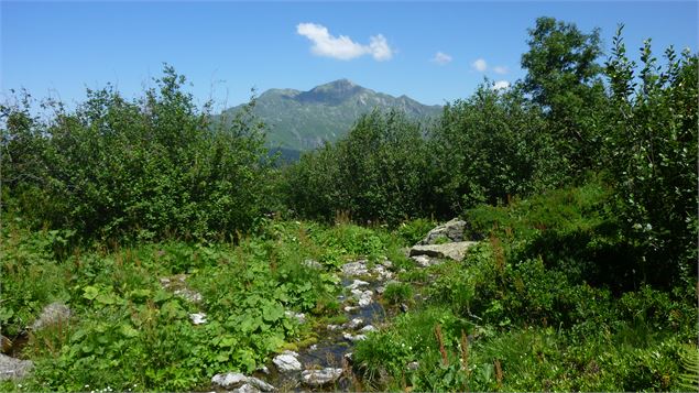 Les Alpages de Montsapey - OT Porte de Maurienne