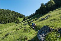 Départ de l'alpage de Tréchauffé - Yvan Tisseyre/OT Vallée d'Aulps