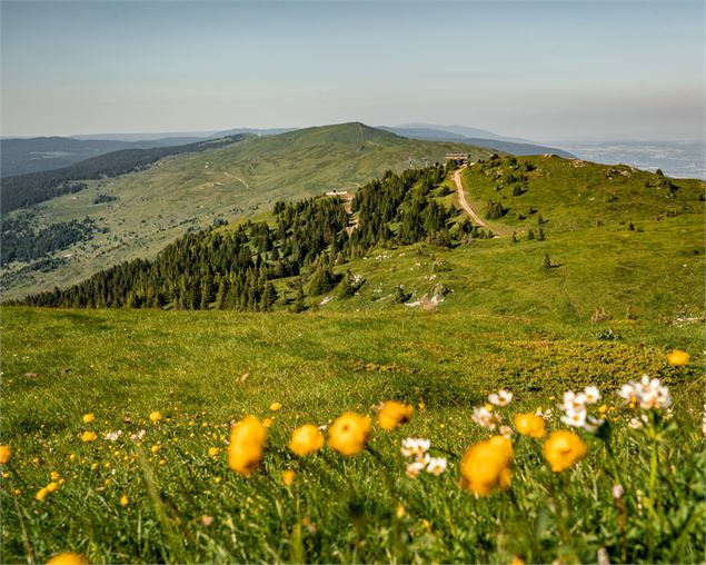 Les crêtes des Monts Jura - ©tasdecailloux
