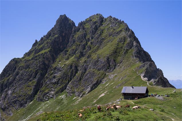 Refuge du Grand Bec avec pointe de la Vuzelle - Planay - Geoffrey Vabre