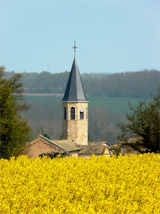 église