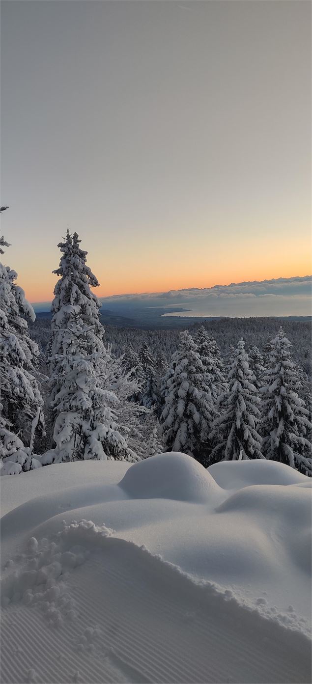 Sur les pistes de fond de la Vattay - ©jthevenard