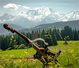 instrument devant le Mont-Blanc - mairie de Combloux
