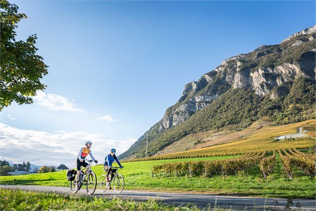 Itinéraire vélo : La Belle Via - Etape 4 Bis - Montmélian > La Terrasse_Montmélian - Anna Ivanova
